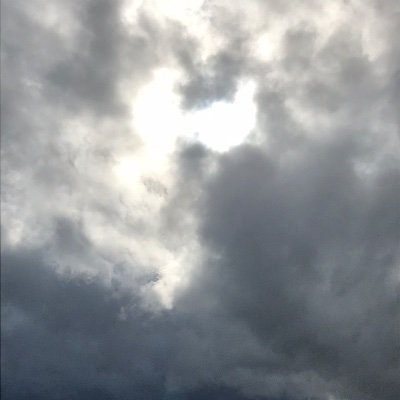Profile Picture of Libby O’Connell (@ConnellLibby) on Twitter