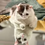 Profile Picture of Myles Vincent McFadden (@myles.v.mcfadden) on Facebook