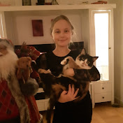 Profile Picture of Amanda Hansen (@Amanda.hansen) on Youtube