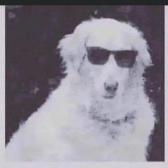 Profile Picture of Logan Wilson (@kayisthicc) on Poshmark