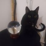 Profile Picture of Jason Bates (@jasonbates95) on Instagram