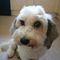 Profile Picture of Ben Rumsey (@ben.rumsey.98) on Facebook