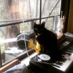 Profile Picture of peter dyck (@dyck6202) on Instagram