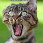 Profile Picture of Brian Oliver (@brian_oliver3) on Instagram