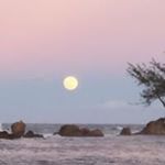 Profile Picture of Carlos Maymi (@maymica1) on Instagram