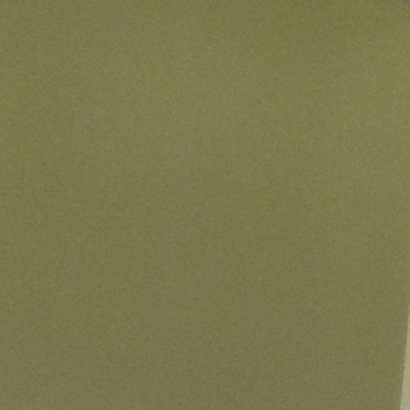 Profile Picture of Cristal Castaneda (@irah67) on Poshmark