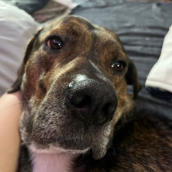 Profile Picture of Nathan (@digxylo1) on Tiktok