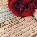 Profile Picture of Omni Droubi (@Omni-Droubi) on Facebook