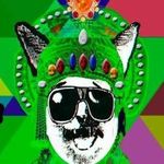 Profile Picture of Jason Passmore (@jdigitydogg_) on Instagram