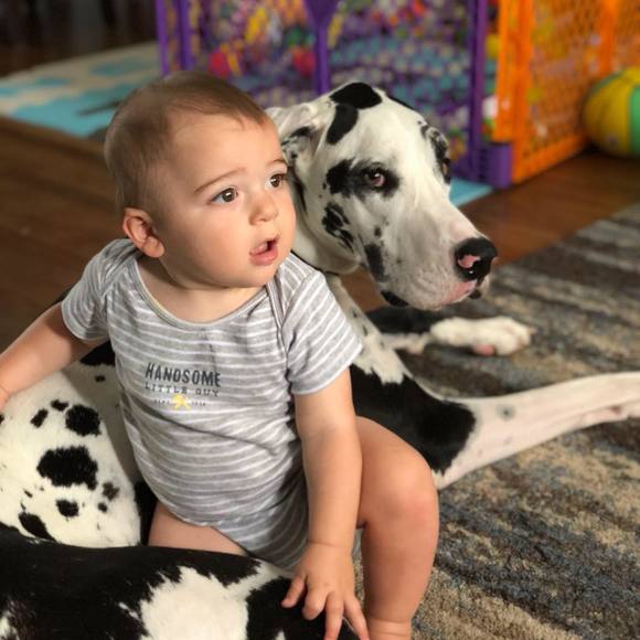 Profile Picture of Bob Kaible (@tb4237) on Poshmark