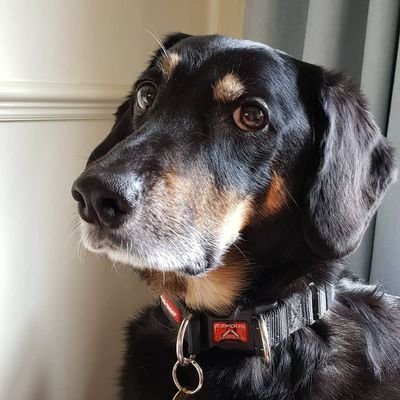 Profile Picture of Claire Travers 🏴󠁧󠁢󠁳󠁣󠁴󠁿 (@CDTravers) on Twitter