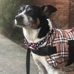 Profile Picture of Joel Monzon (@thejoelmonzon) on Instagram