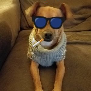 Profile Picture of Larry Yarbrough (@lyarbro123) on Twitter