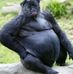 Profile Picture of Patrick Janousek (@patrick.janousek.5) on Facebook