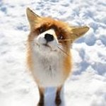 Profile Picture of 최인준 (@kiwi464) on Instagram