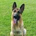 Profile Picture of Mark Hagedorn (@mark.hagedorn.758) on Facebook