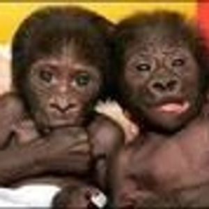 Profile Picture of Laura Giordino (@211105447) on Myspace