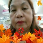 Profile Picture of Gloria Alejandro (@gloria.alejandro.3532) on Instagram