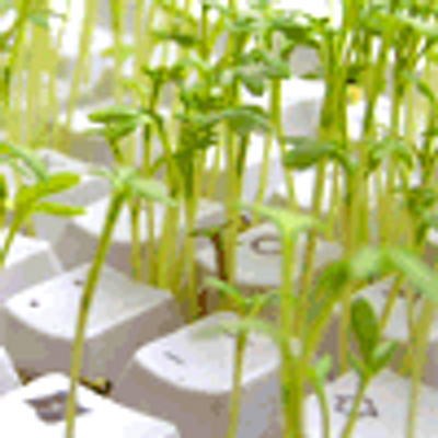 Profile Picture of Ted Thornton Balfour (@eristik2) on Twitter