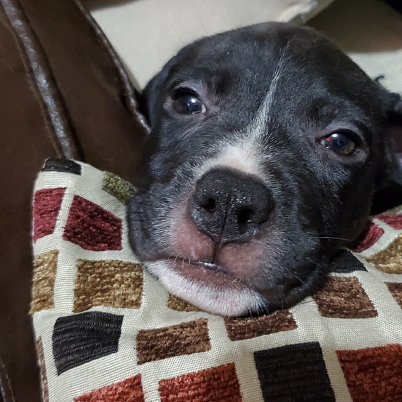 Profile Picture of Tabatha Stewart (@tabatha_stewart) on Poshmark