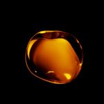 Profile Picture of Nicholas Faletti (@falettispaghetti) on Instagram