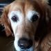 Profile Picture of Donna Kiser (@donna.kiser.96) on Facebook