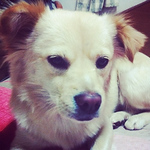 Profile Picture of Chris Mize (@christopher.mize) on Flickr