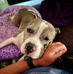 Profile Picture of Brian's Horseman (@Brians-Horseman) on Facebook