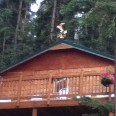 Profile Picture of Scott Bidwell (@Ak_grizzly) on Twitter