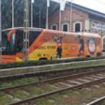 Profile Picture of Robert Trzciński (@agator_trzcinski) on Instagram