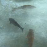 Profile Picture of 民彦 (@photo_shiizaki) on Instagram