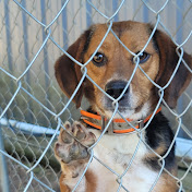 Profile Picture of Hunter Fontenot (@hunterfontenot8532) on Youtube