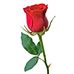 Profile Picture of Maria Runco (@maria.runco.566) on Facebook