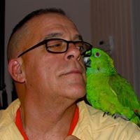 Profile Picture of Paul Dyer (@paul-dyer-29) on Quora