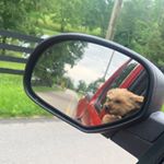 Profile Picture of Brent L Sprigler (@brentlsprigler) on Instagram