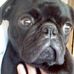 Profile Picture of Ken Lumley (@ken.lumley.547) on Facebook