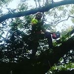 Profile Picture of Jonathan Moulin (@phoenix_nicole) on Instagram