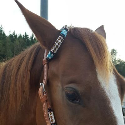 Profile Picture of Michele Mulkey (@MulkeyFarm) on Twitter