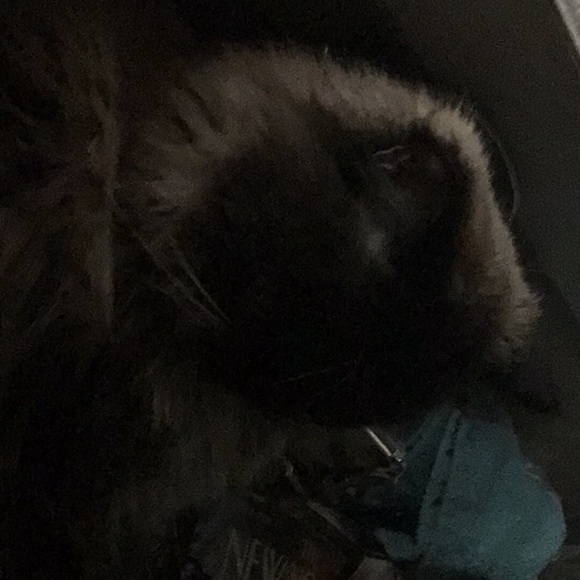 Profile Picture of Natela Goodwin (@natela08) on Poshmark