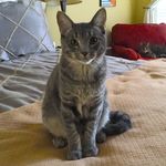 Profile Picture of Ryley James (@ryley.james) on Instagram