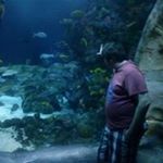 Profile Picture of Kenny Drinnon (@kmdrinnon) on Instagram