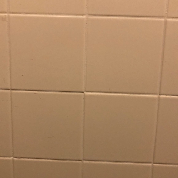 Profile Picture of Alisha Hoghogan (@secorahogan) on Poshmark