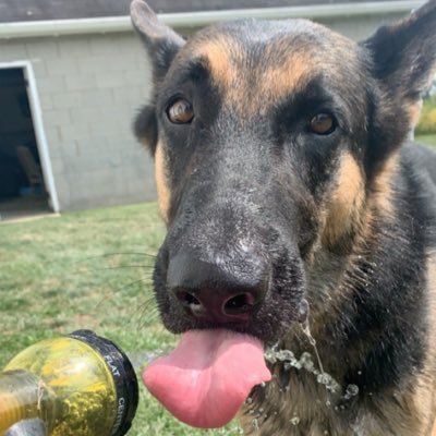 Profile Picture of Paula Coe (@PBCOE22) on Twitter