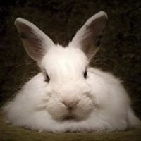 Profile Picture of Kim Cantrell (@kim-cantrell-8) on Quora