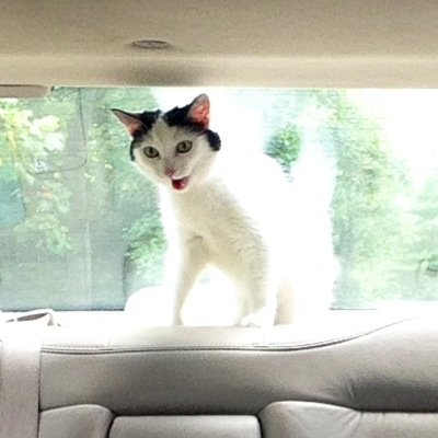 Profile Picture of Shaun Medsker (@smedskerthree) on Twitter
