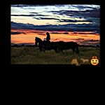 Profile Picture of Tania Adame (@taniaadamesuastegui) on Instagram