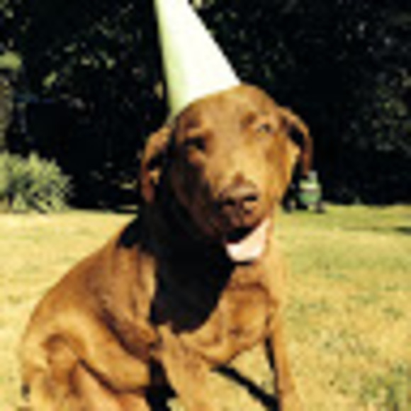 Profile Picture of Hailey Avison (@kittybubbles23) on Poshmark