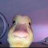 Profile Picture of Gustavo Esquivel (@@1ohyeah2) on Tiktok