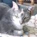 Profile Picture of Shirley Huston (@shirley.huston.75) on Facebook