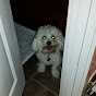 Profile Picture of Morgan Wolfe (@@11MWolfe) on Tiktok